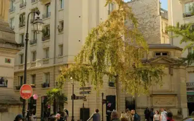 Les meilleurs quartiers de Paris pour un séjour de plus d’un mois en amoureux