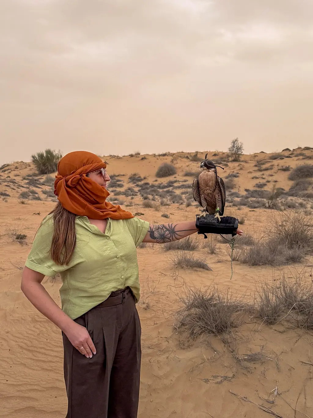 La meilleure excursion dans le désert de Dubaï : notre expérience avec Platinum Heritage