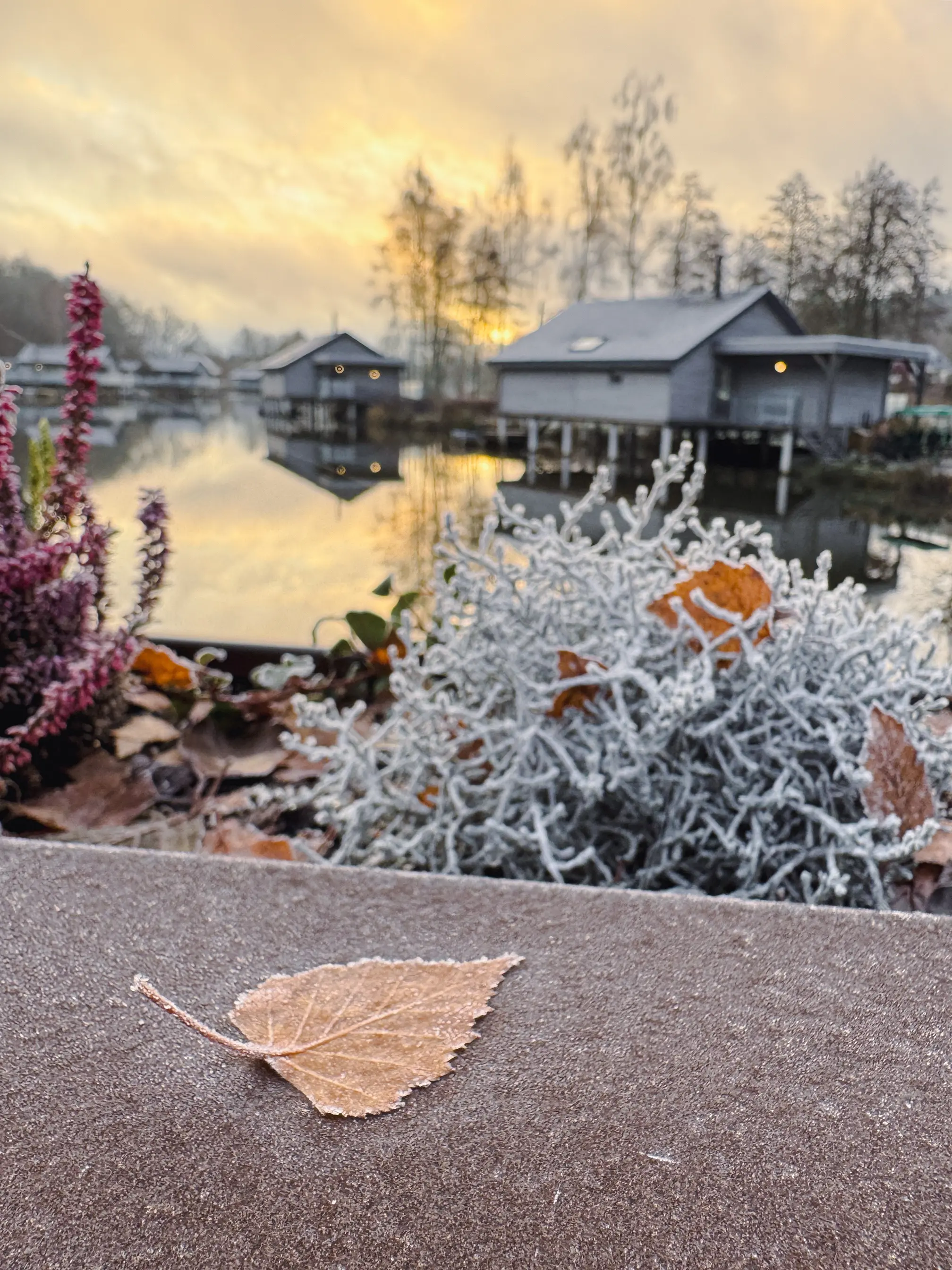 Escapade aux Lodges de la Vierre, nature, spa et gastronomie