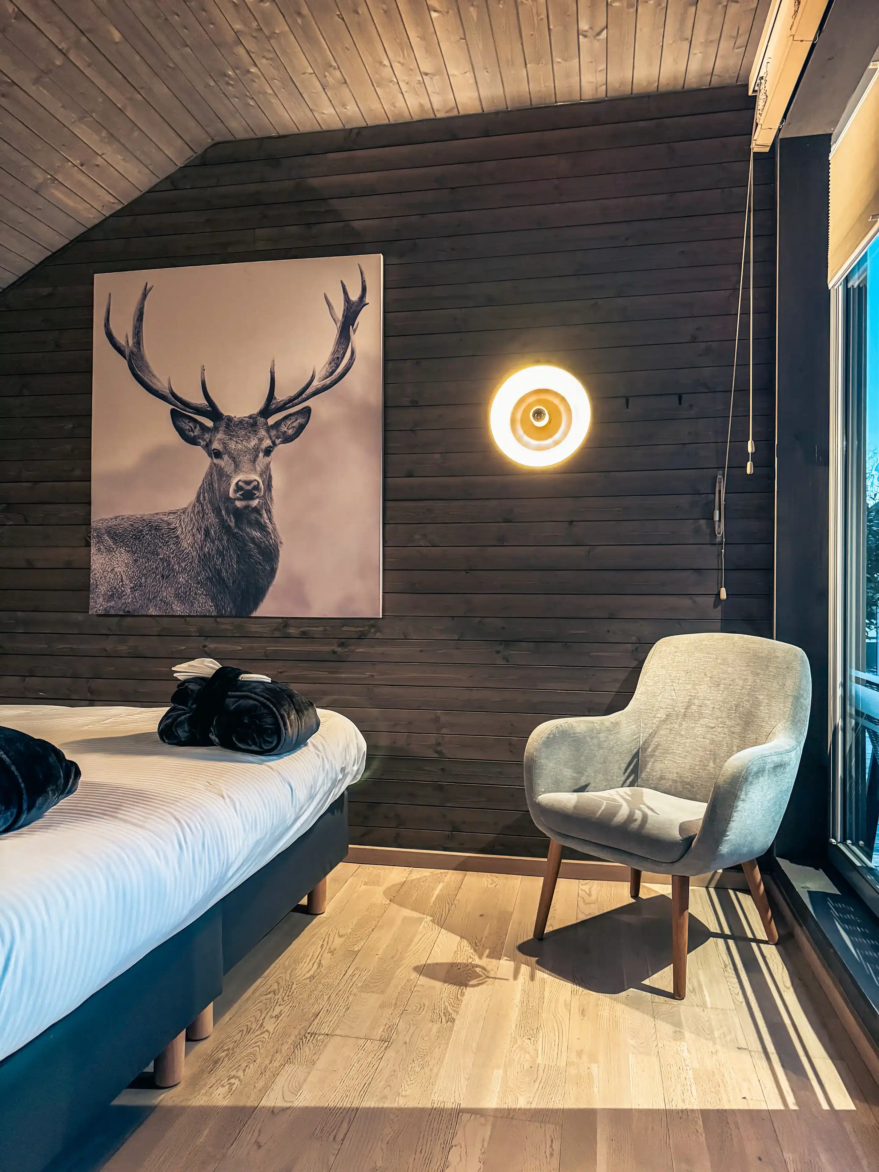 Brame du cerf en Belgique : où l’écouter et où dormir ?