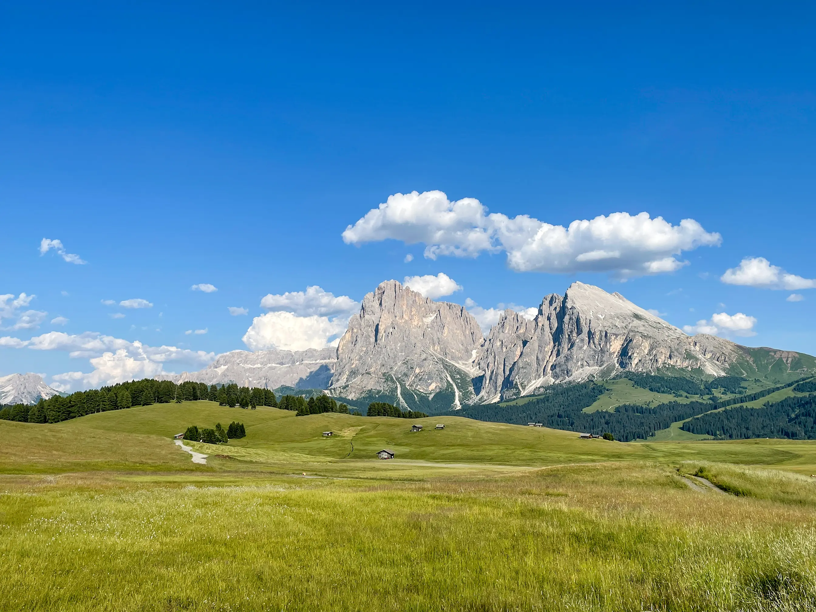 Alpe di Siusi : le plus haut alpage d'Europe - Dolomites 2026