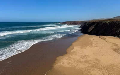 Jardin à Marrakech : que visiter en 2026 ? 15 Que faire à Mirleft au Maroc ? Guide complet (2026)