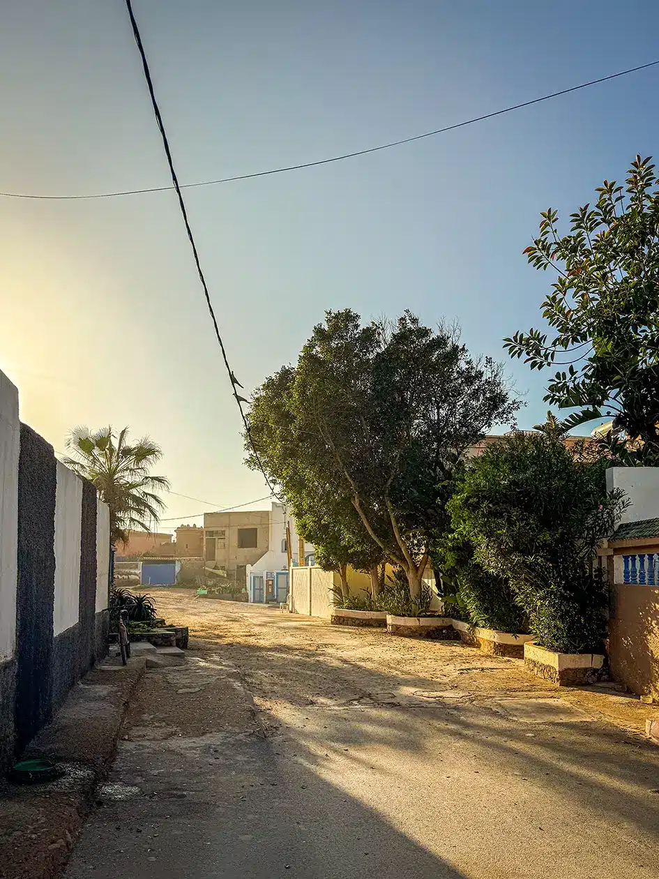 Que faire à Mirleft au Maroc ? notre guide complet