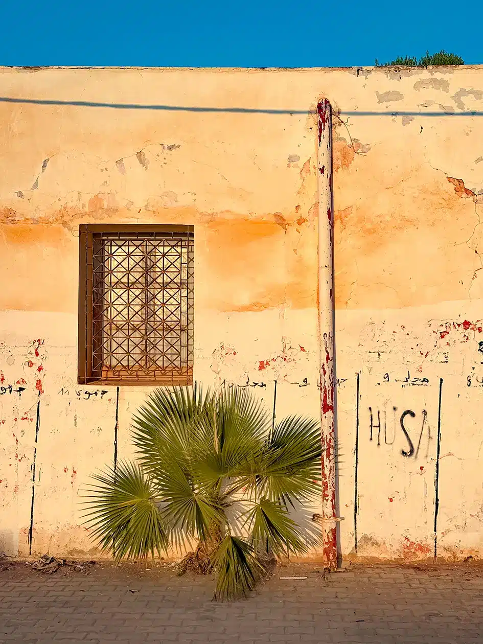 Que faire à Mirleft au Maroc ? Guide complet (2026)