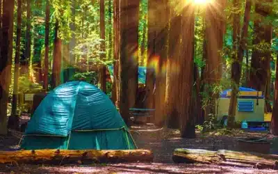 Conseils voyage : astuces et retour d'expériences 7 Découvrez la tente de toit 3 places X-Cover 3.0 Light