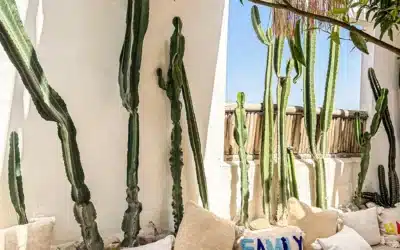 20 meilleurs spots Instagram à Marrakech 3 Que faire à Taroudant au Maroc ? Guide complet + conseils 2026
