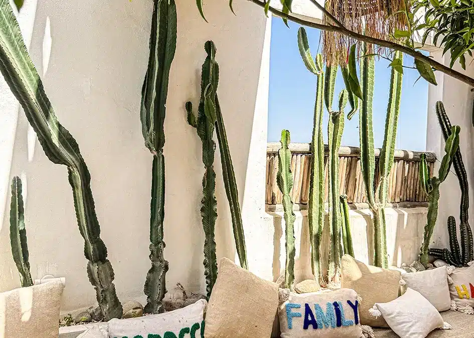 que faire à Taroudant