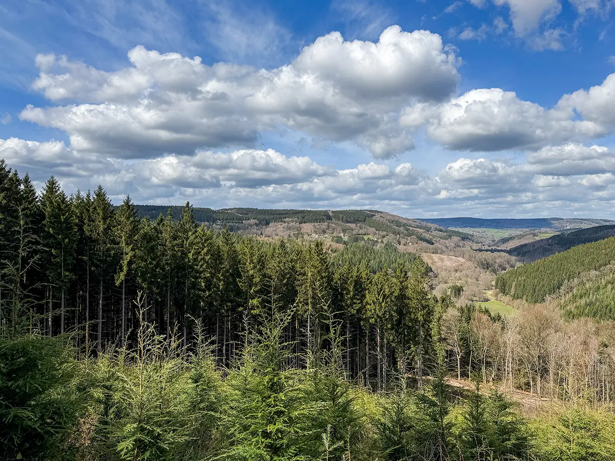 Domaine de Bra : notre avis sur cet hôtel en Ardenne