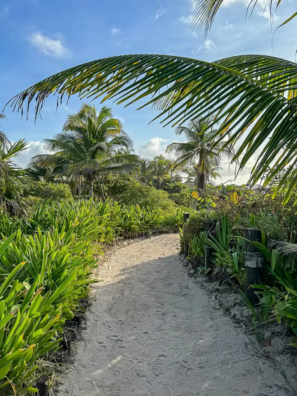 Le parc du Jaguar de Tulum : accès, plages et site maya