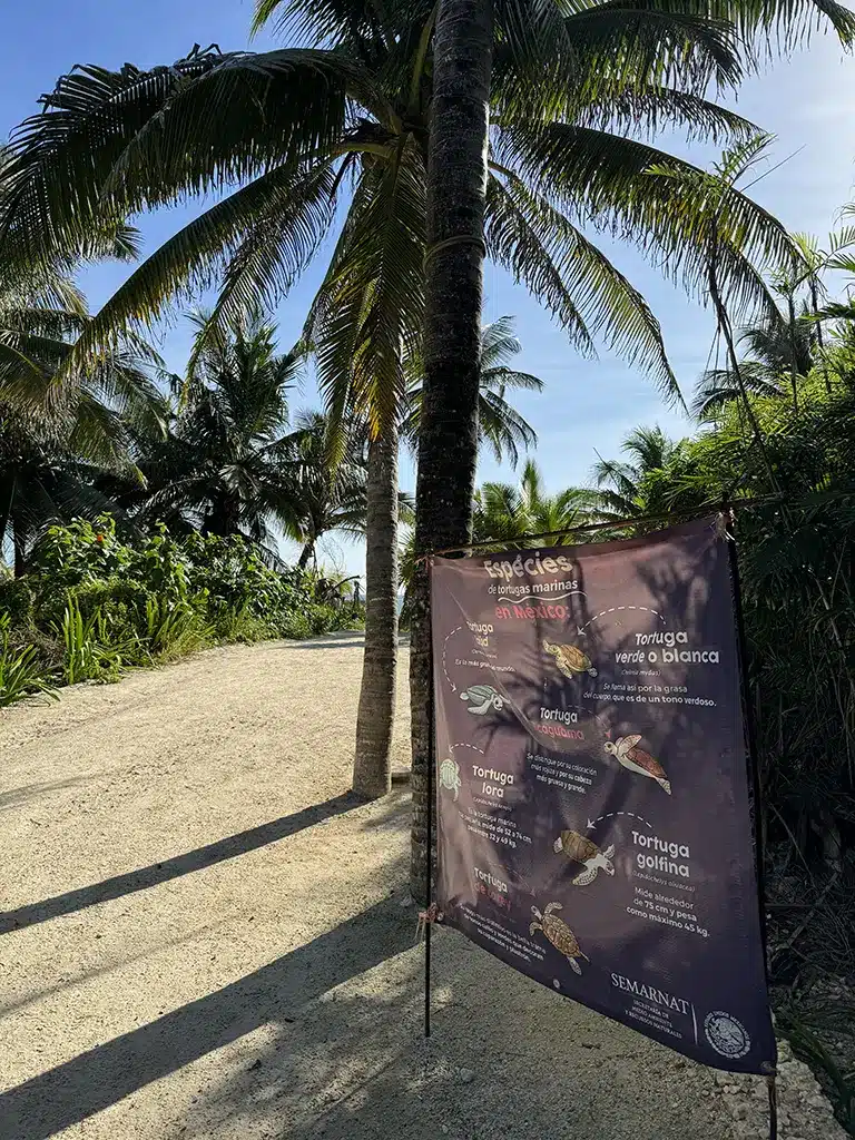 Y a-t-il des plages gratuites à Tulum ?