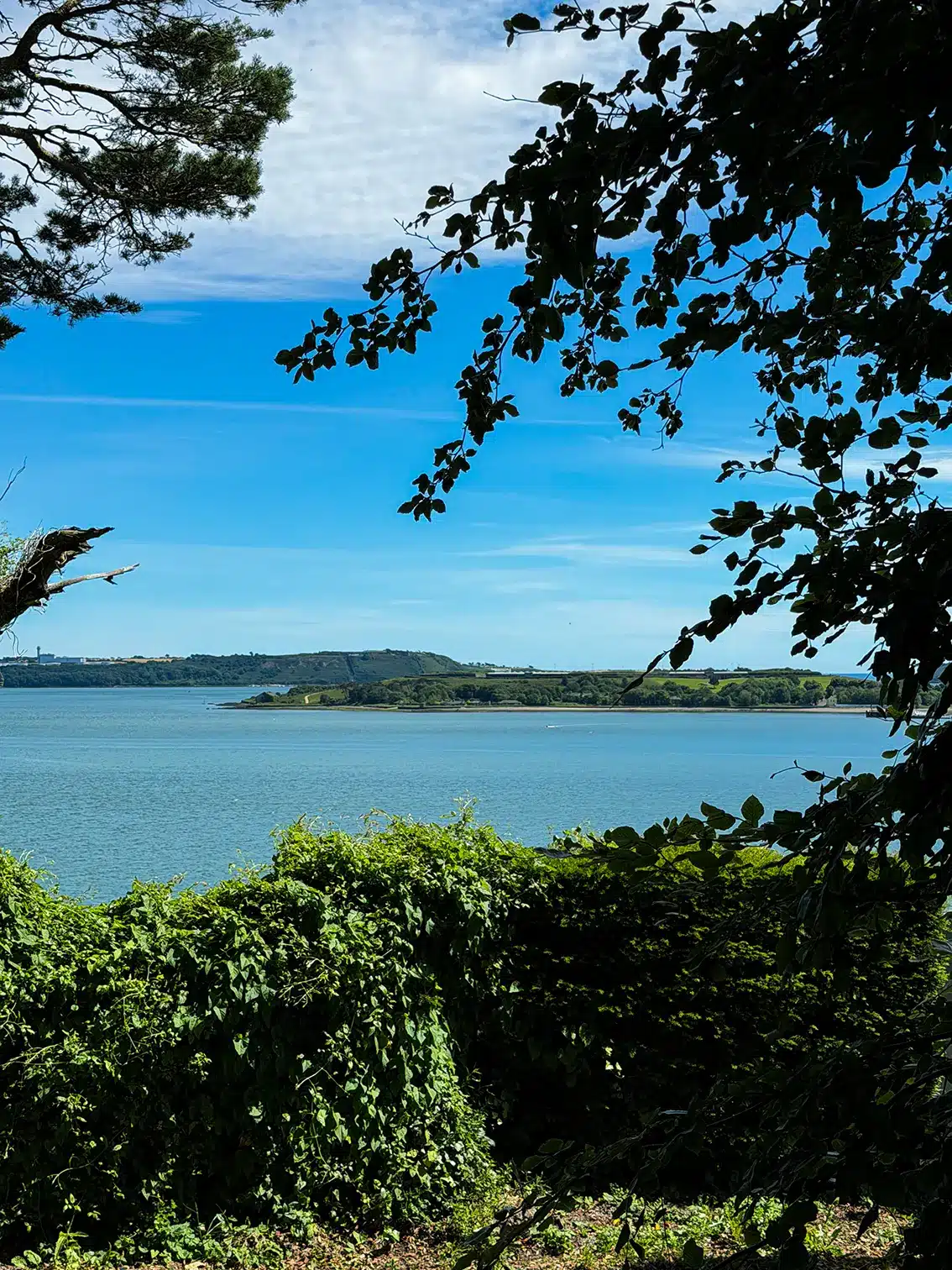 Que faire à Cork en 2 ou 3 jours ? Nos incontournables et excursions sans voiture