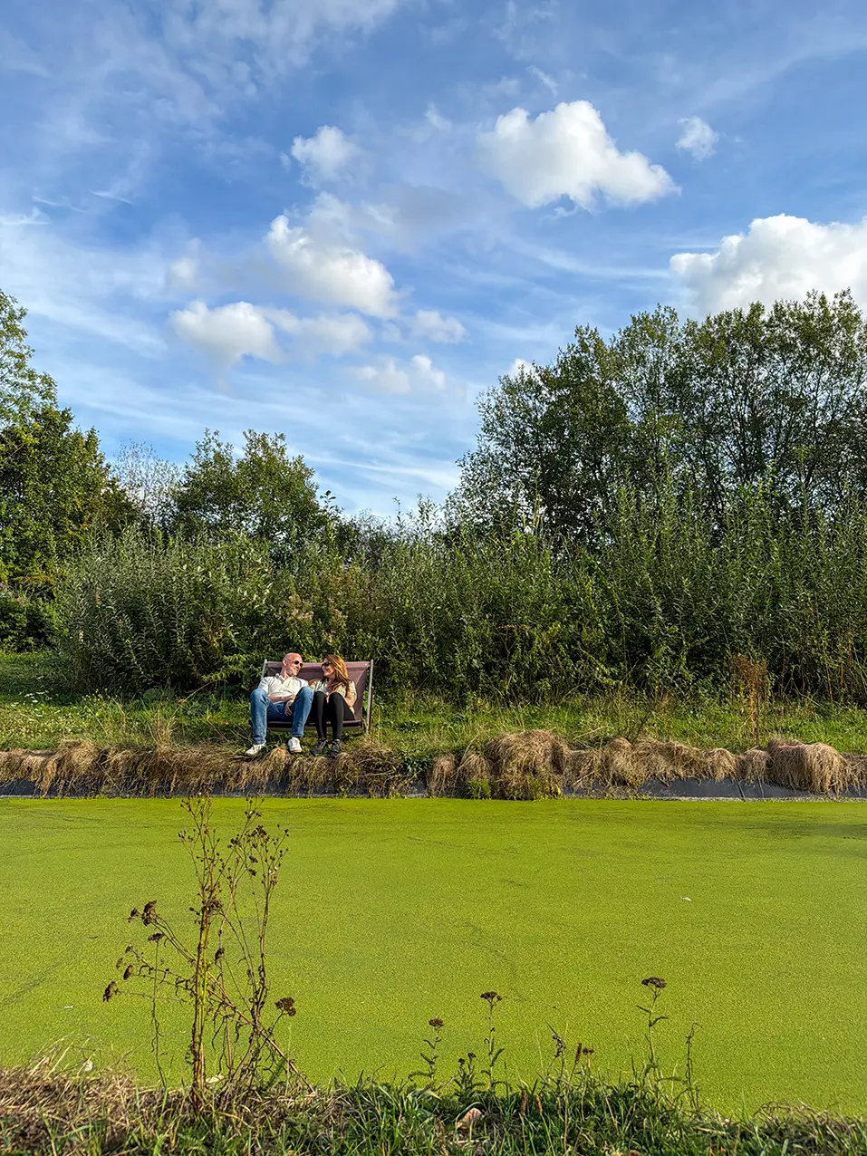 Couple installé face à un petit étang couvert de lentilles d’eau à l’Aquascope de Virelles
