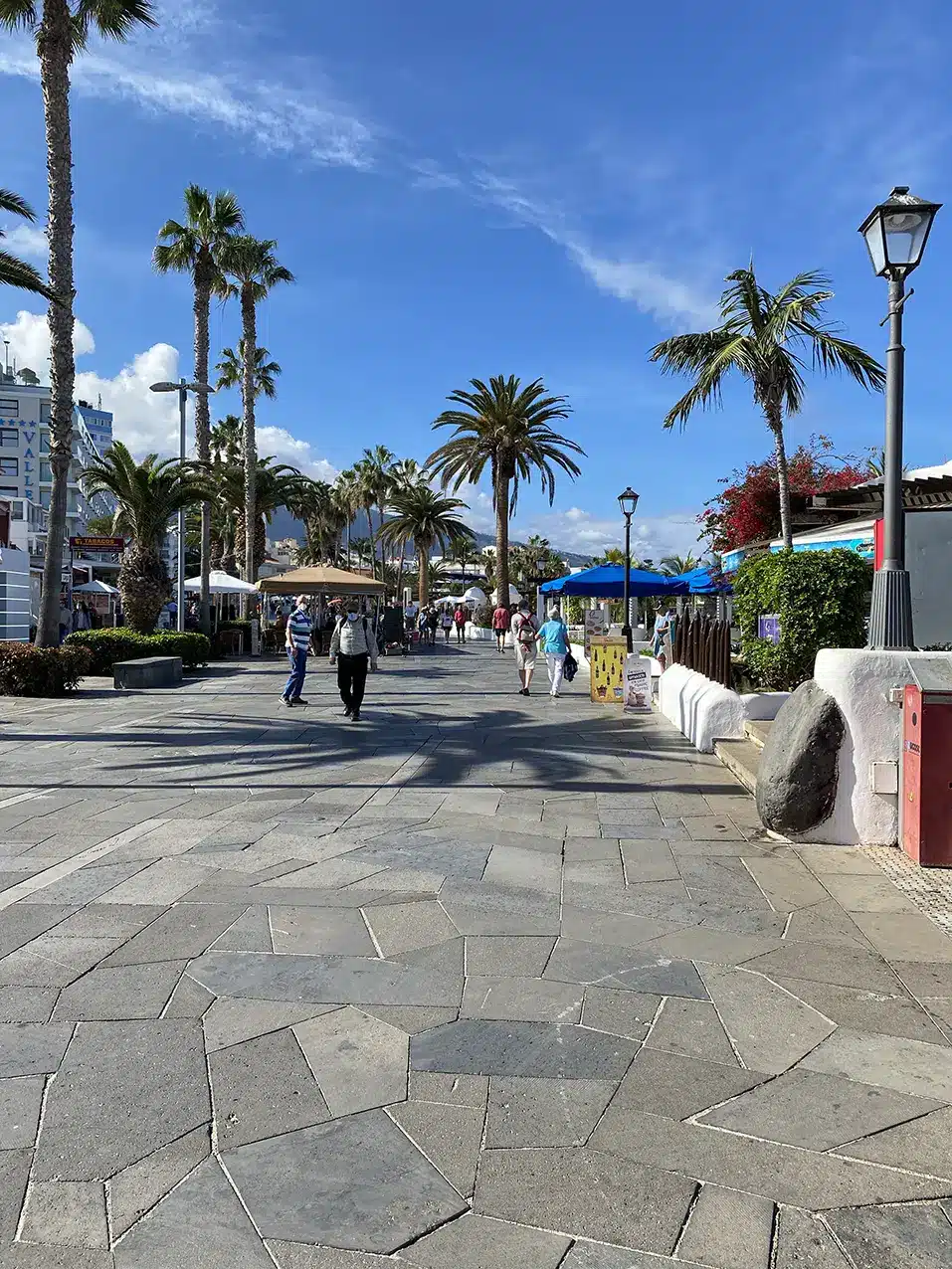 Visiter Puerto De La Cruz, les meilleures choses à faire et lieux à voir